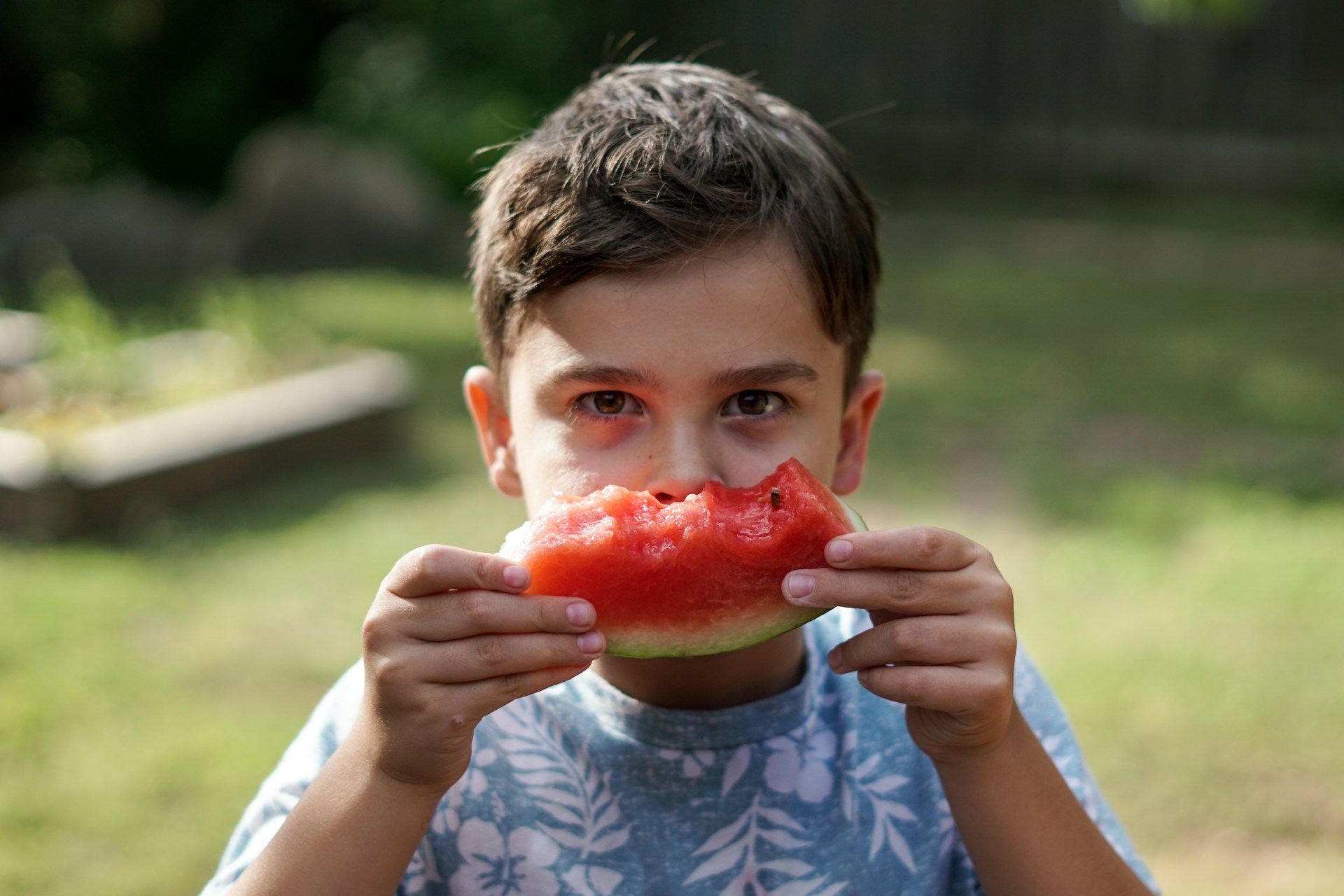 Young boy with short dark hair eating a slice of watermelon outdoors in a garden.