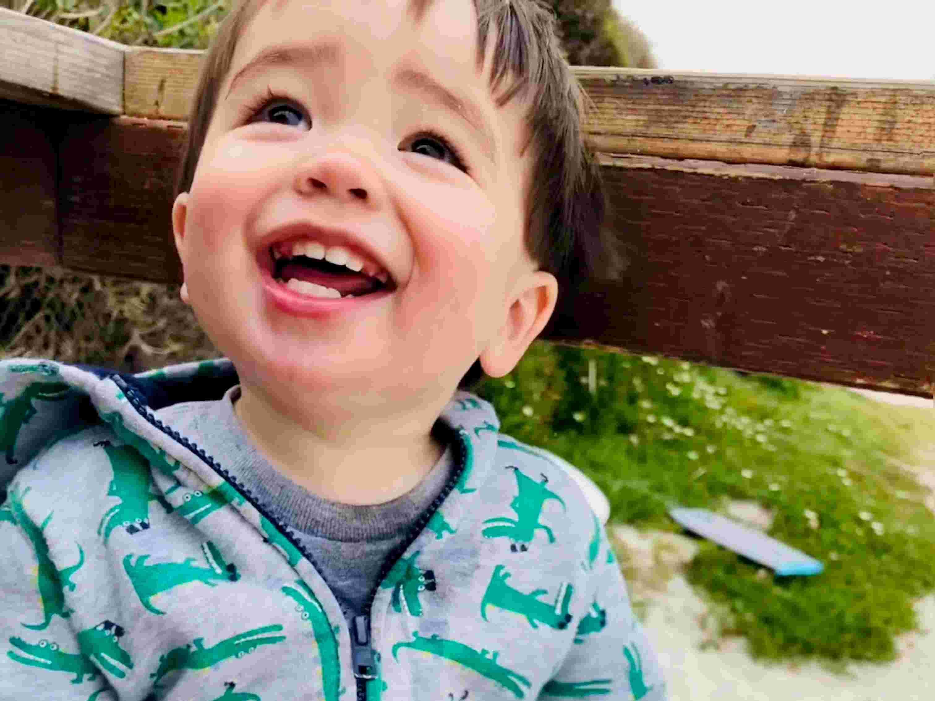 Smiling toddler wearing a grey hoodie with green crocodile prints and striped pants, sitting outdoors near wooden planks and grass.