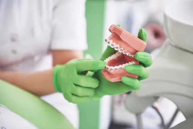 Dentist wearing green gloves holding a dental model with braces, demonstrating teeth alignment.